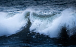 HAV group_ocean wave
